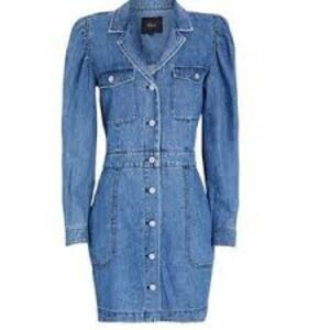 Rails Elaine Denim Mini Dress Sorrento Wash Button Down Size Small